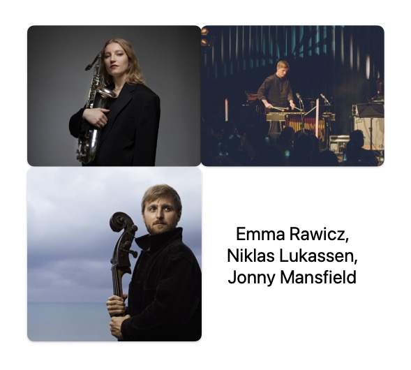 Three performers with their instruments: saxophone, vibrophone and bass.